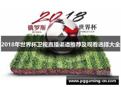 2018年世界杯卫视直播渠道推荐及观看选择大全