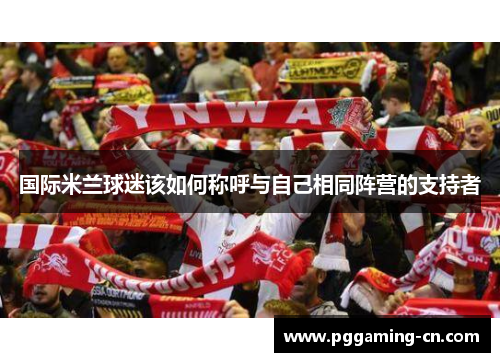 国际米兰球迷该如何称呼与自己相同阵营的支持者