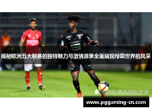 揭秘欧洲五大联赛的独特魅力与激情源泉全面展现绿茵世界的风采