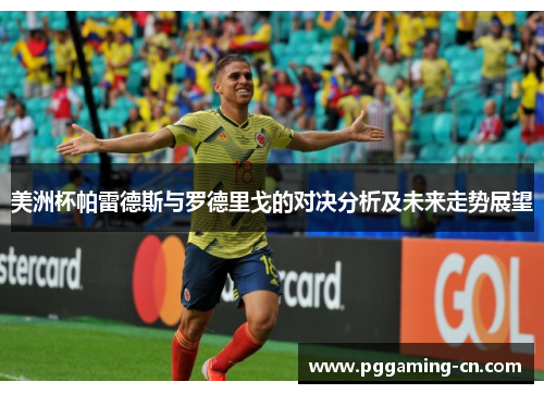 美洲杯帕雷德斯与罗德里戈的对决分析及未来走势展望
