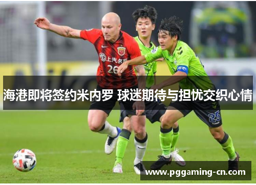 海港即将签约米内罗 球迷期待与担忧交织心情