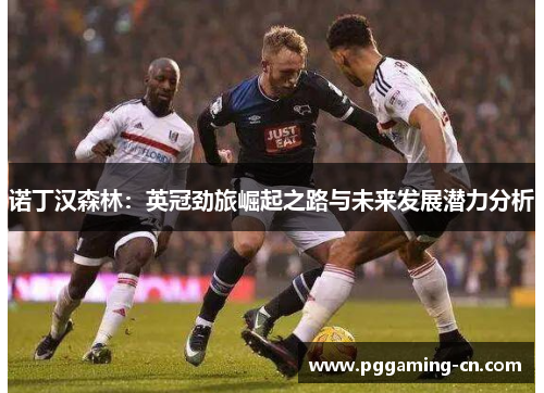诺丁汉森林：英冠劲旅崛起之路与未来发展潜力分析