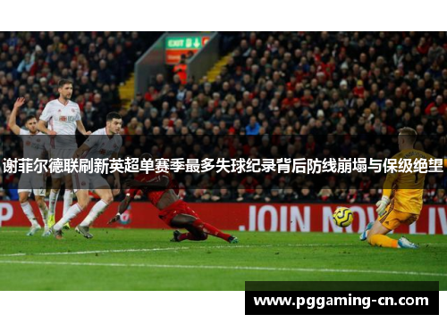 谢菲尔德联刷新英超单赛季最多失球纪录背后防线崩塌与保级绝望 谢菲尔德联刷新英超单赛季最多失球纪录背后防线崩塌与保级绝望