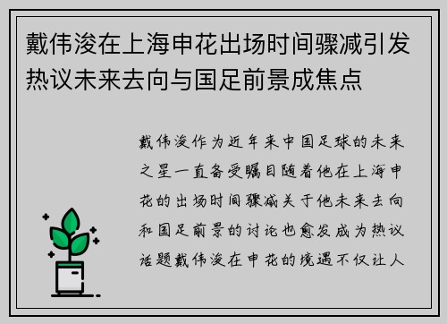 戴伟浚在上海申花出场时间骤减引发热议未来去向与国足前景成焦点