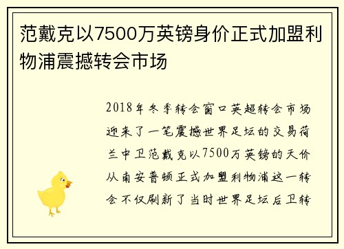 范戴克以7500万英镑身价正式加盟利物浦震撼转会市场